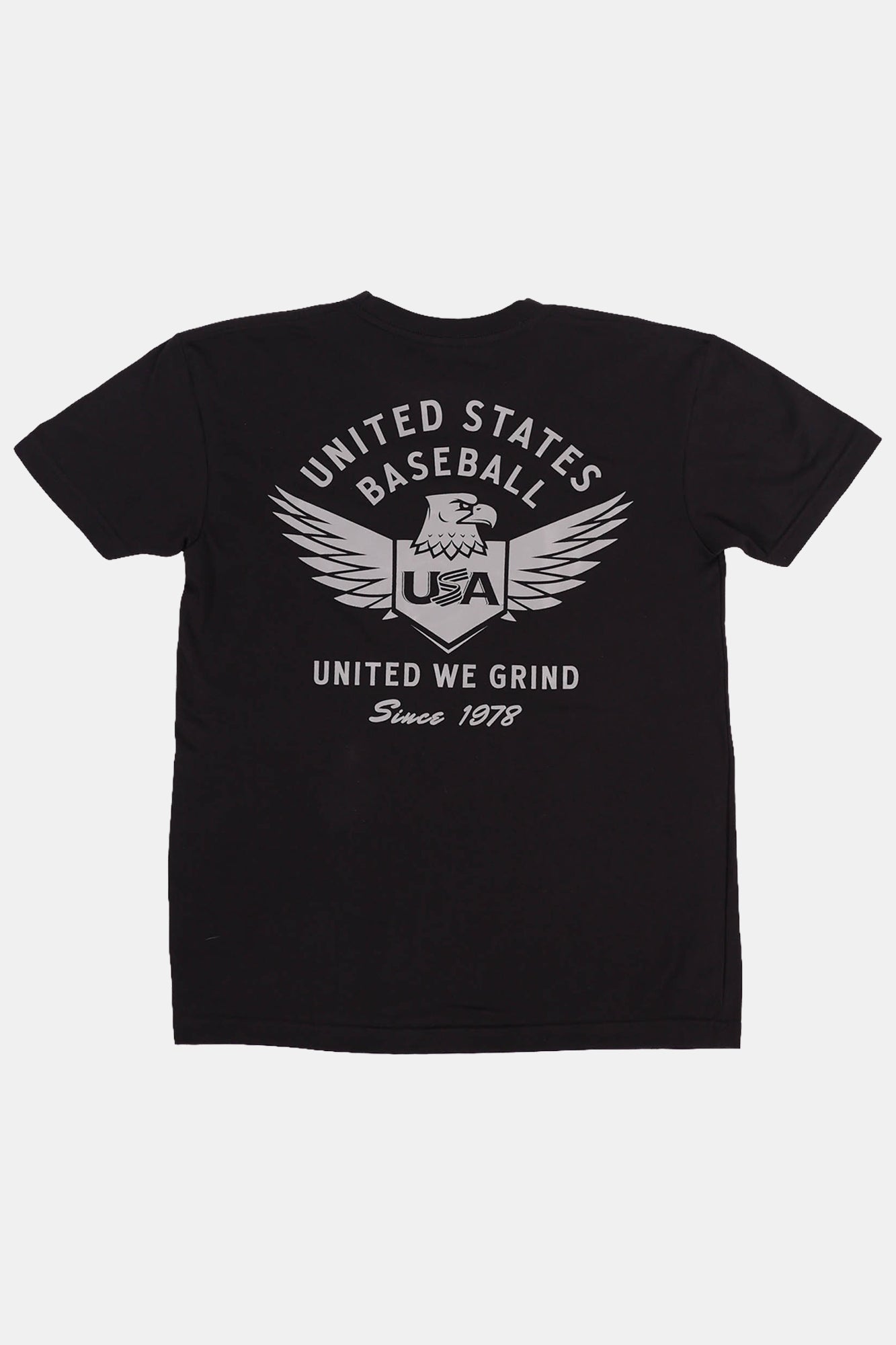 USA x Baseballism Flying Colors Tee