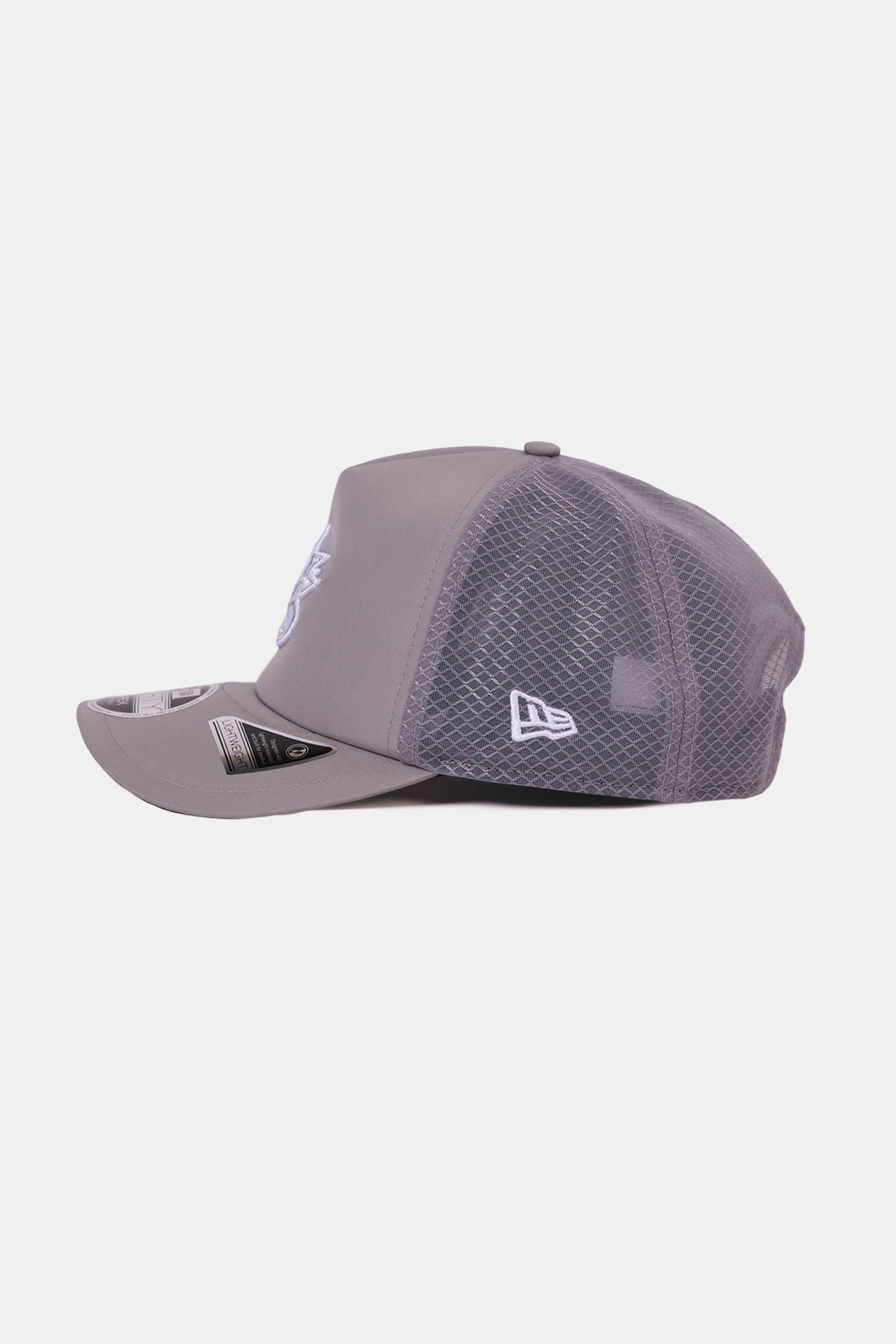2026 Batting Practice Collection Grey 9FORTY APEX Trucker