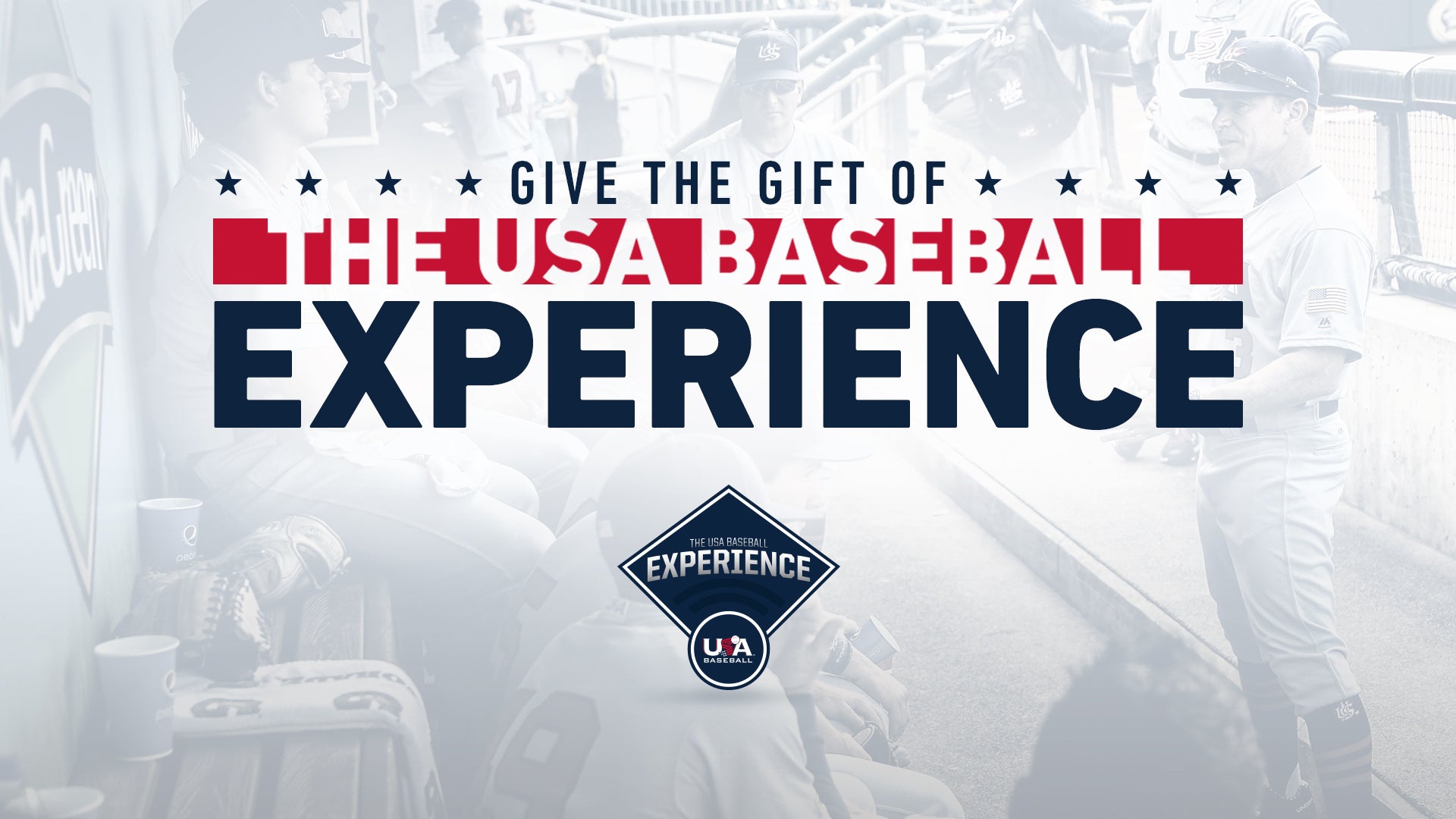 The USA Baseball Experience