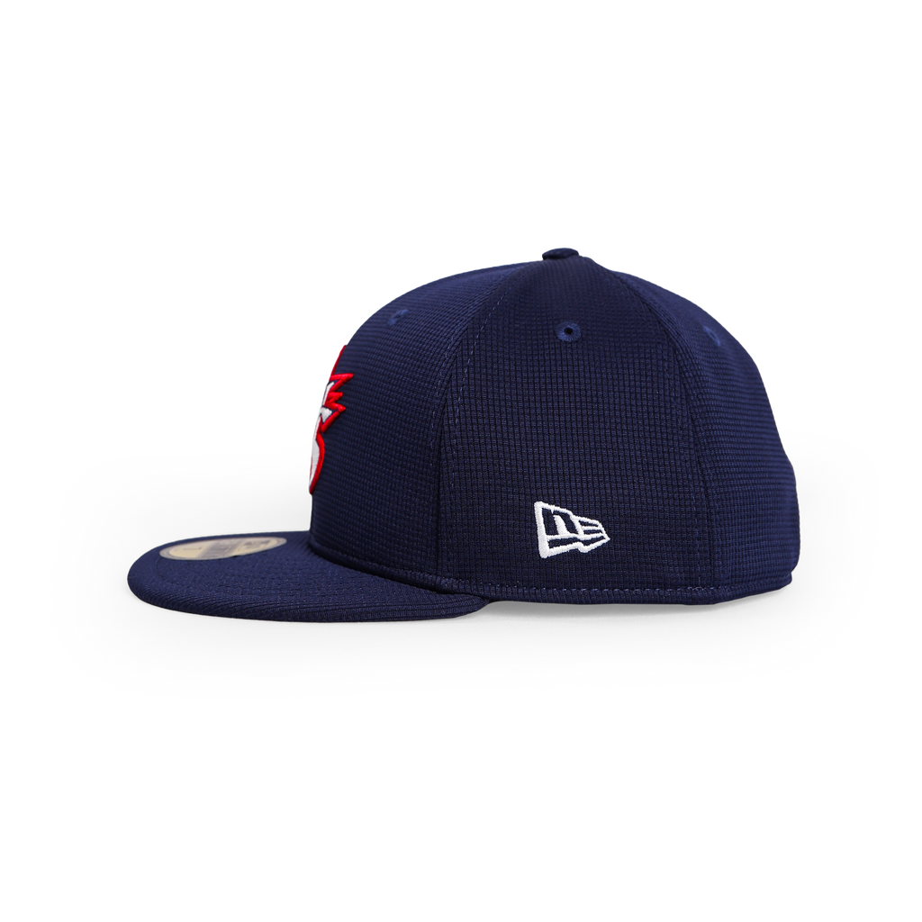 2024 Batting Practice 59FIFTY USA Baseball Shop 2024 batting practice 59fifty usa baseball shop